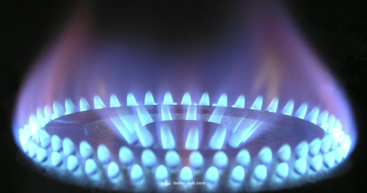 Boiler Trends 2026 - Boiler Hub