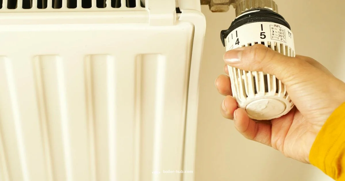 Boiler Overview Boiler Overview - Boiler Hub