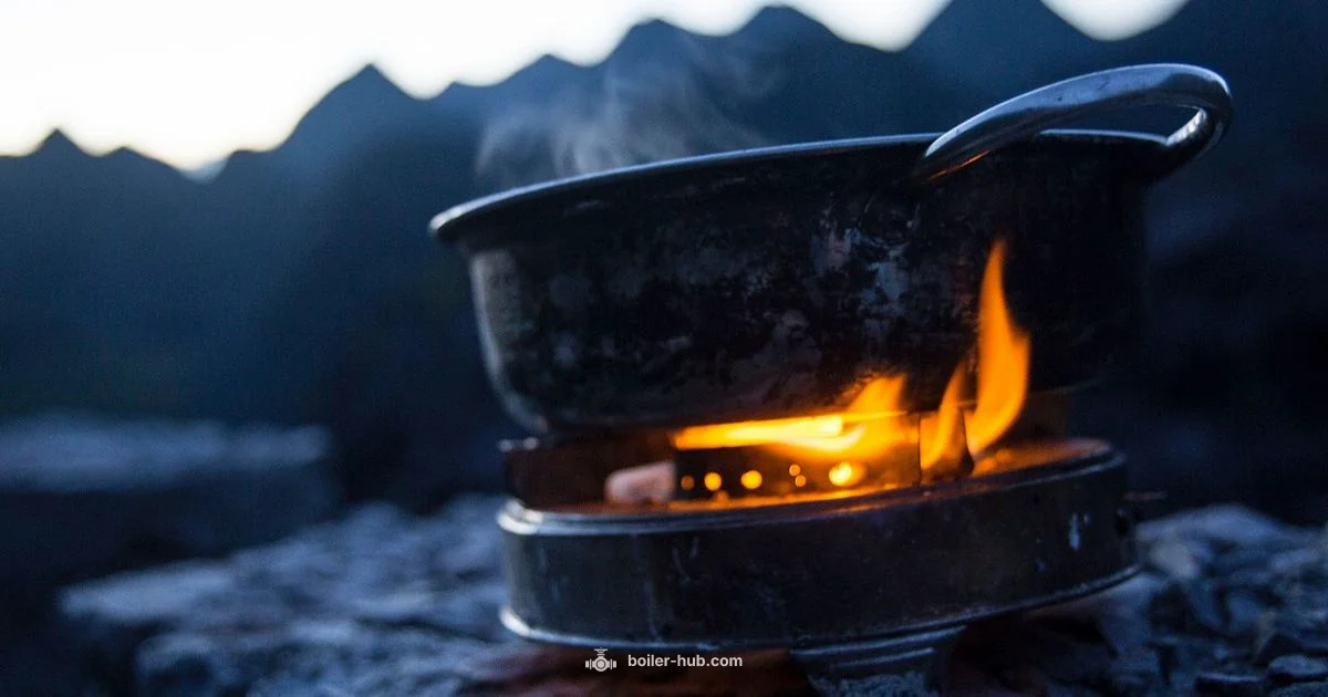 Gas Water Boiler - Boiler Hub