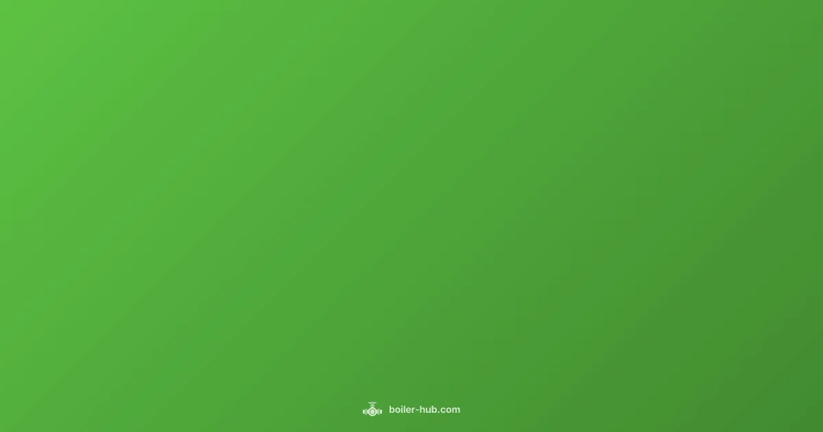 Boiler Service Basics - Boiler Hub (illustration)