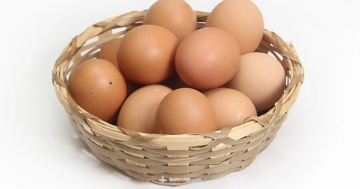 Omelette in Egg Boiler Omelette in Egg Boiler - Boiler Hub