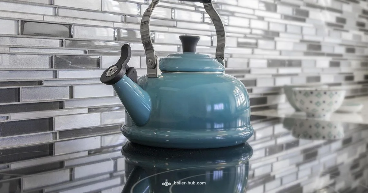 Micom Water Boiler - Boiler Hub