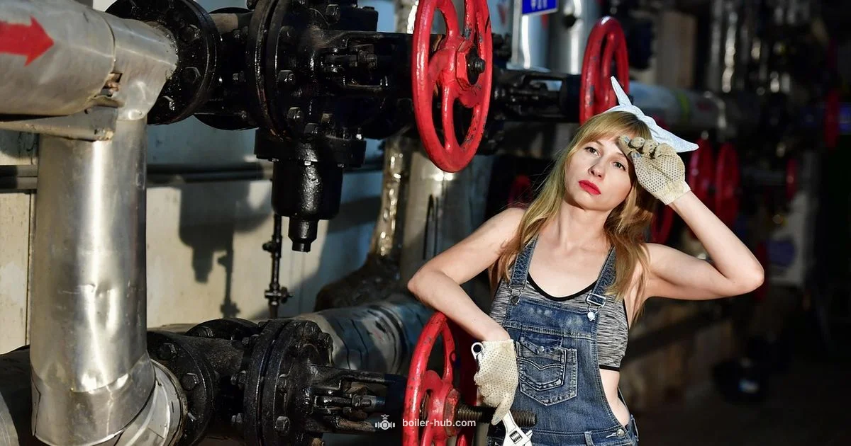 Boiler Repair Costs - Boiler Hub