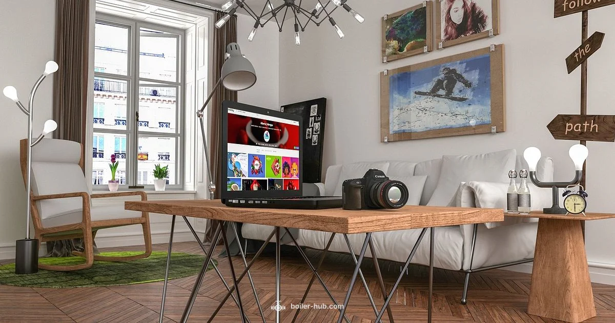 Boiler Room Full - Boiler Hub