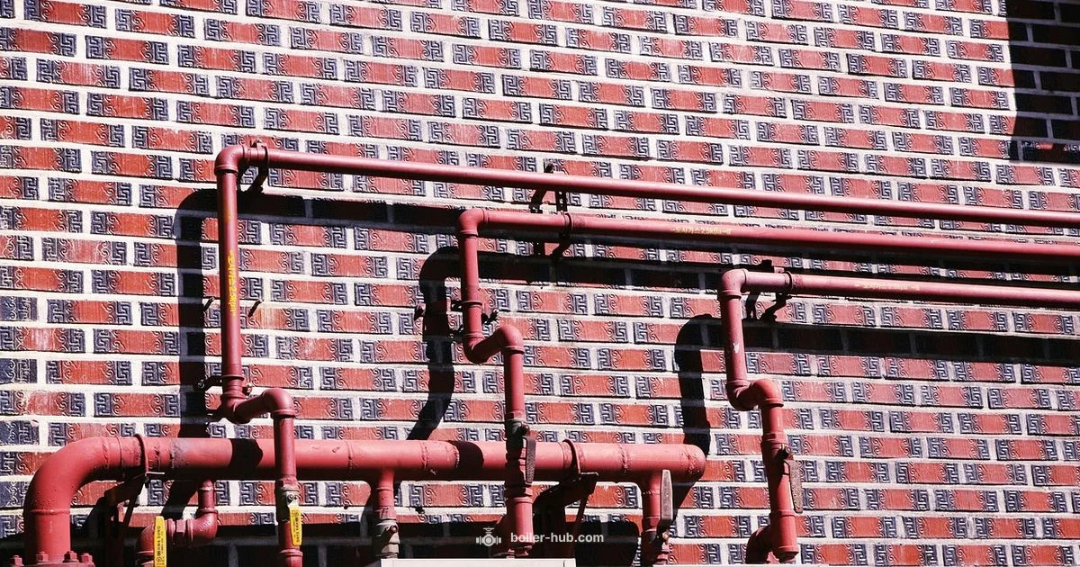 Boiler Room Origins - Boiler Hub