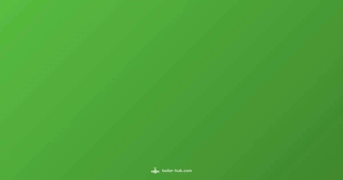 Boiler Service Guide - Boiler Hub (illustration)