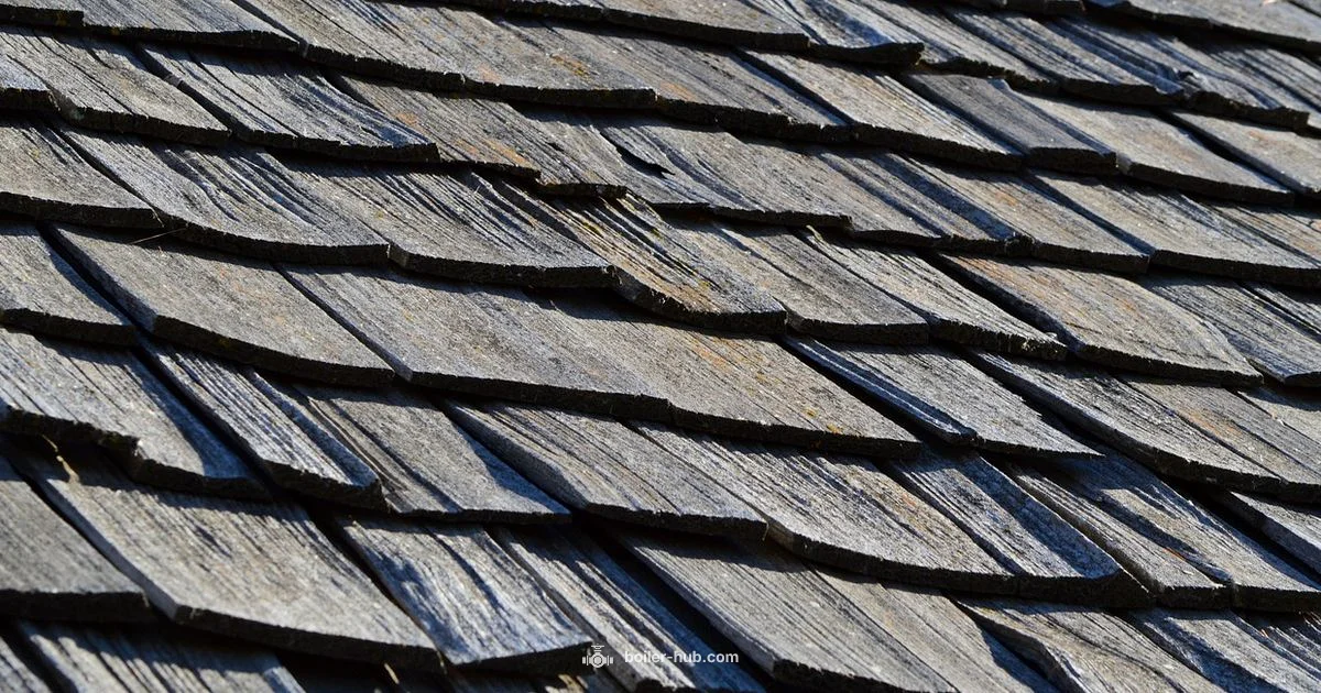 Boiler Look Guide - Boiler Hub