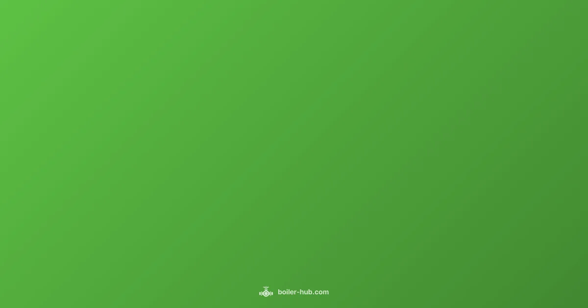 Boiler Service Guide - Boiler Hub (illustration)