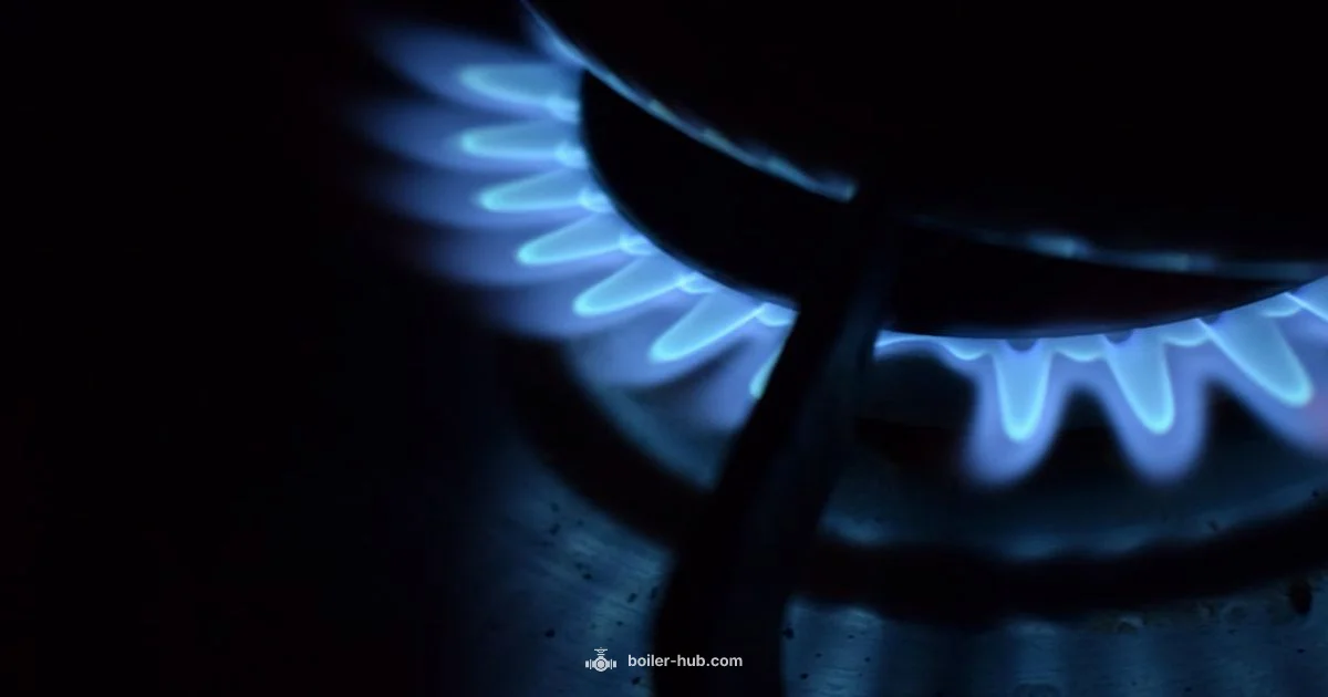 Boiler Fuel Showdown - Boiler Hub