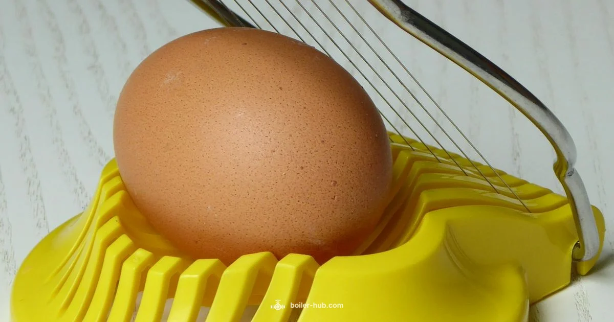 Egg Boiler Guide - Boiler Hub