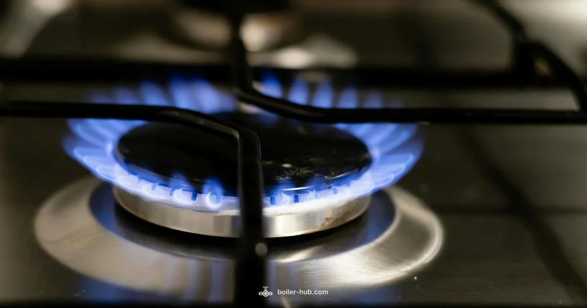 Boiler Won't Stay Lit - Boiler Hub