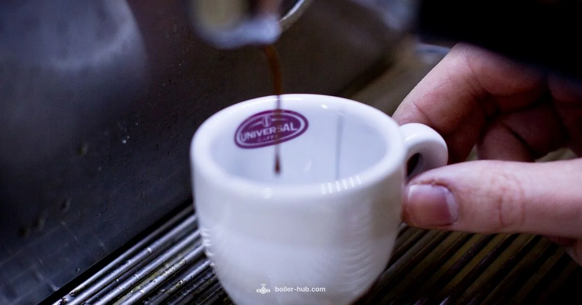 Dual Boiler Guide - Boiler Hub