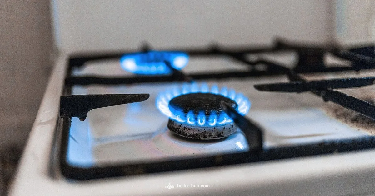 Boiler Burner Basics Boiler Burner Basics - Boiler Hub