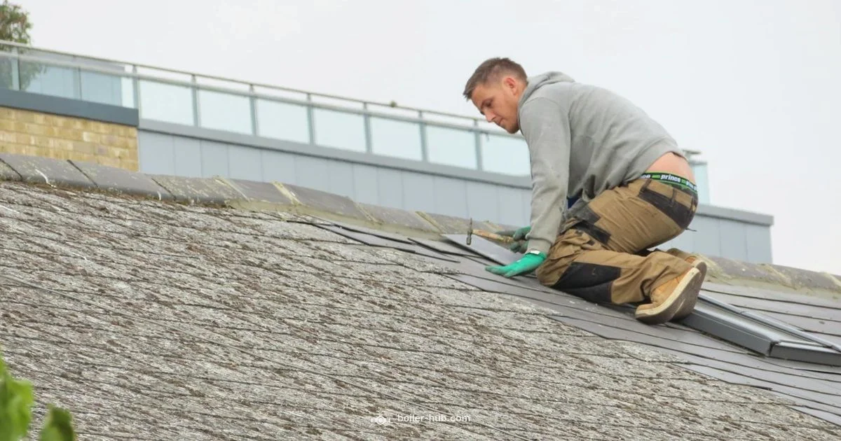 Power Cut Guide - Boiler Hub