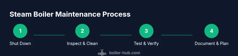 Process infographic showing maintenance steps for a steam boiler