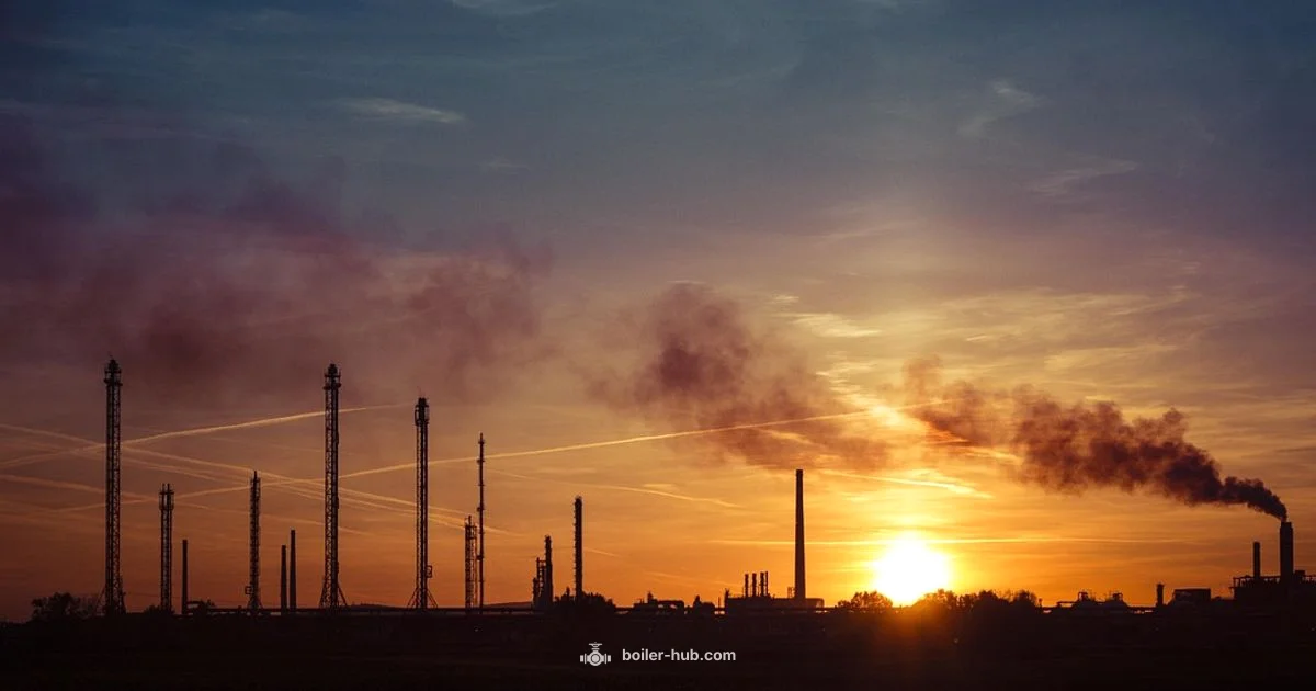 Boiler Seafood Guide - Boiler Hub