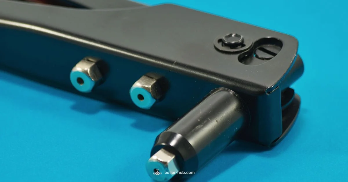 Boiler Onions Guide Boiler Onions Guide - Boiler Hub