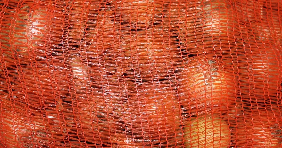 White Boiler Onions Guide - Boiler Hub