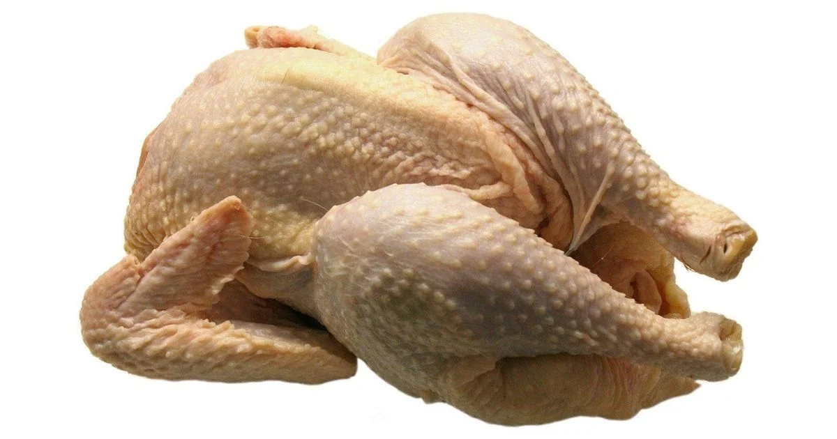 Boiler or Broiler - Boiler Hub