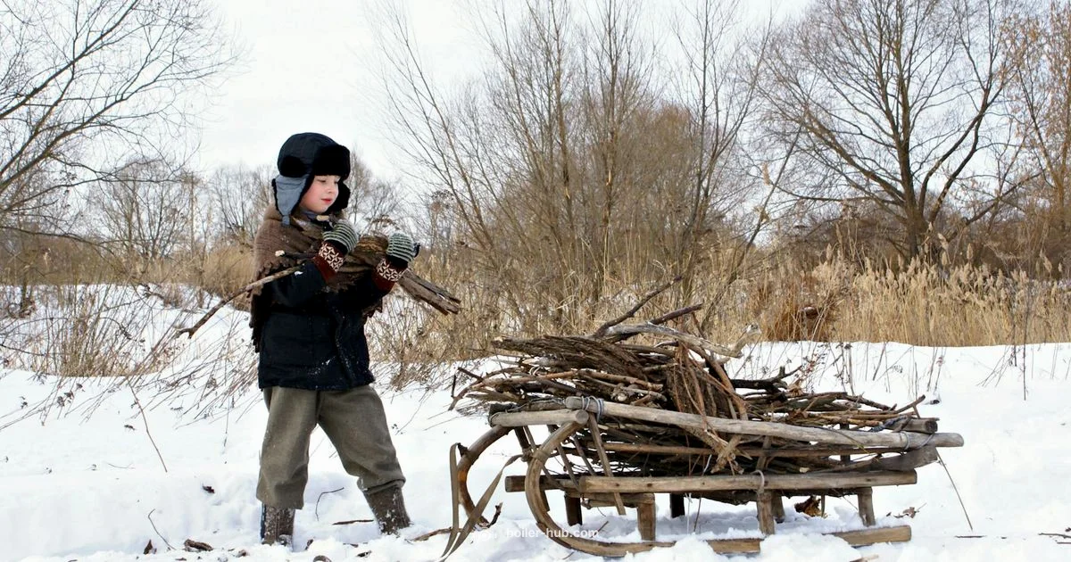 Hardy Outdoor Wood Furnace - Boiler Hub