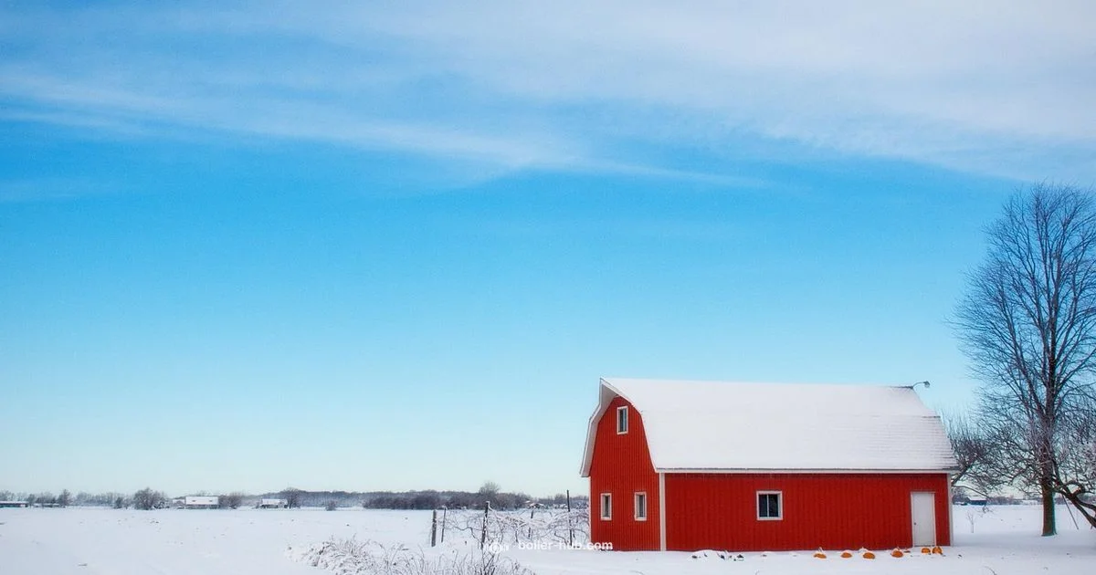 Outdoor Wood Boiler Cost - Boiler Hub