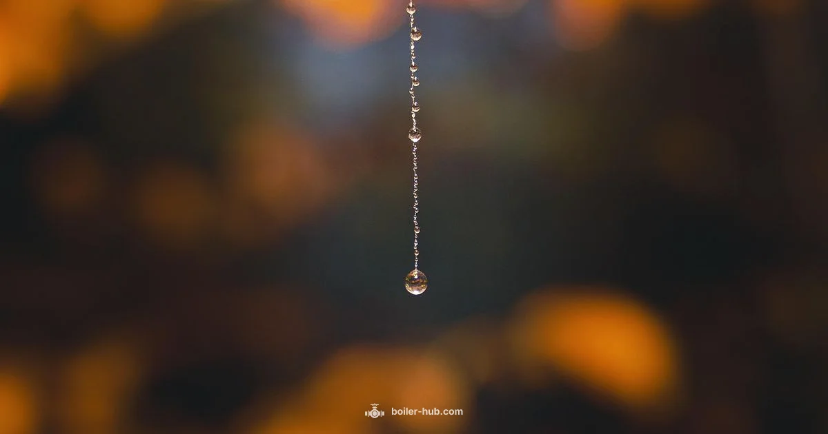 Dripping Boiler Fix Dripping Boiler Fix - Boiler Hub