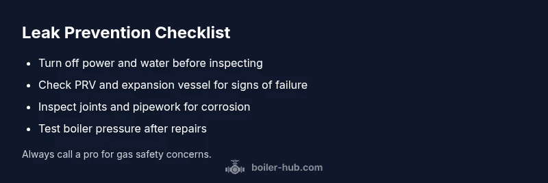 Boiler leak checklist infographic