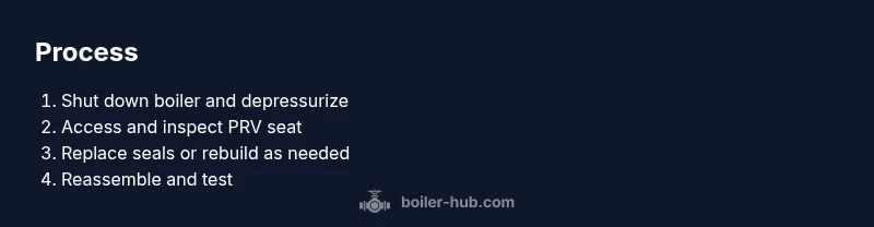 Infographic showing PRV repair process steps