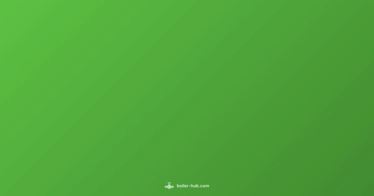 Leak Diagnosis - Boiler Hub (illustration)