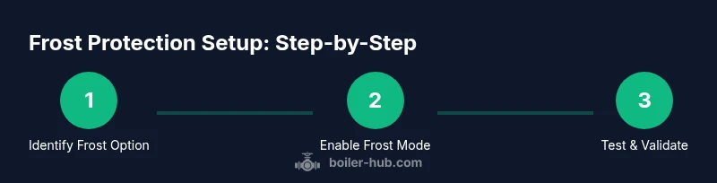 Process infographic showing frost protection setup steps