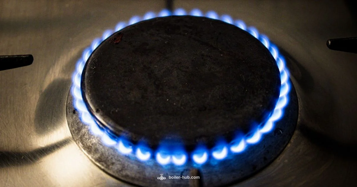 Propane HE Boiler Propane HE Boiler - Boiler Hub