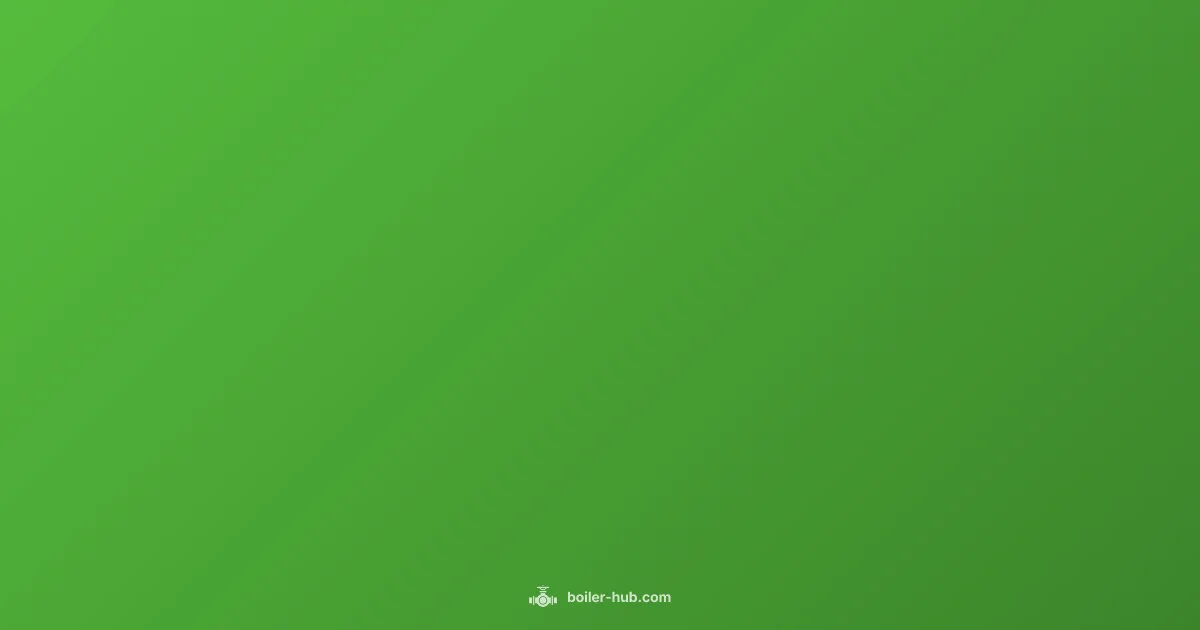 Check Boiler Safely - Boiler Hub (illustration)