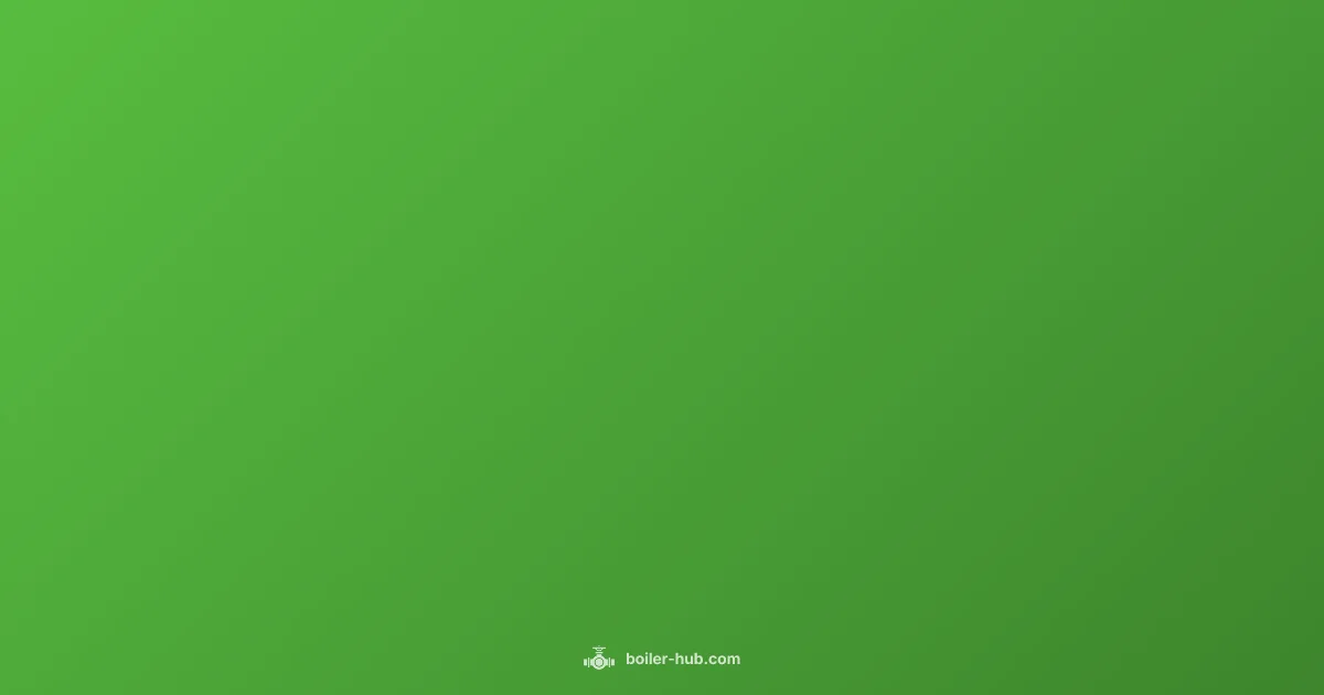 Back Boiler Removal Back Boiler Removal - Boiler Hub (illustration)