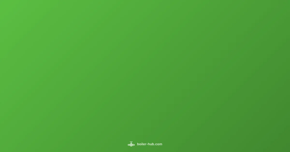 Best Boiler Guide - Boiler Hub (illustration)