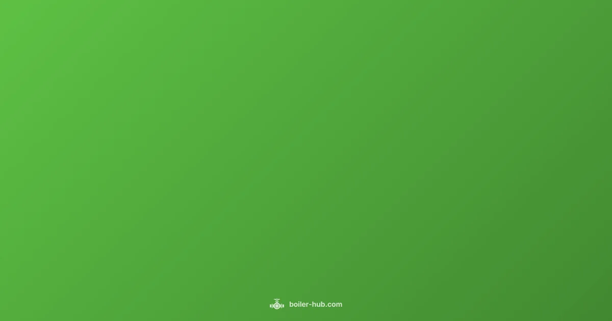 Boiler Bo6 Fix - Boiler Hub (illustration)