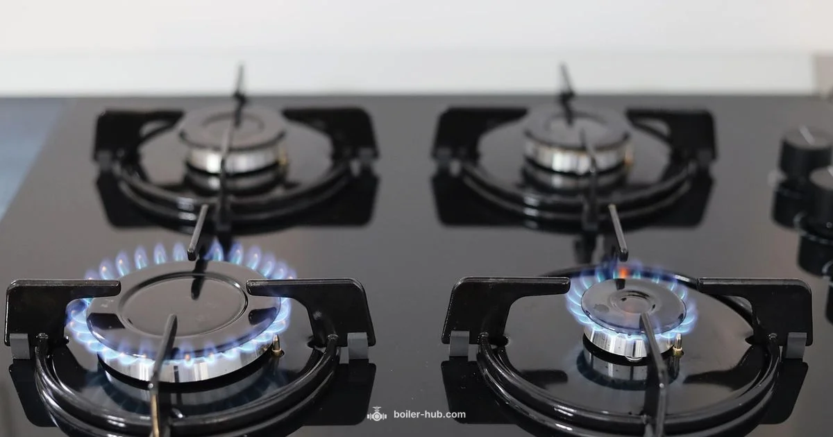 Gas Safe Registration - Boiler Hub