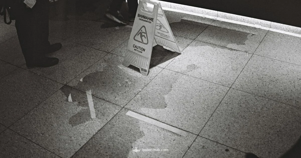 Leak Troubleshooting - Boiler Hub