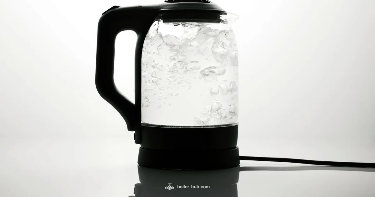 Home Boiler Basics Home Boiler Basics - Boiler Hub