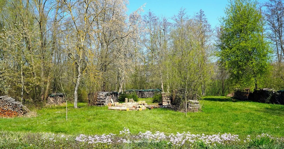 Pellet Boiler Outdoor - Boiler Hub