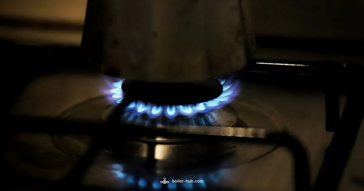 CO Safety Guide - Boiler Hub