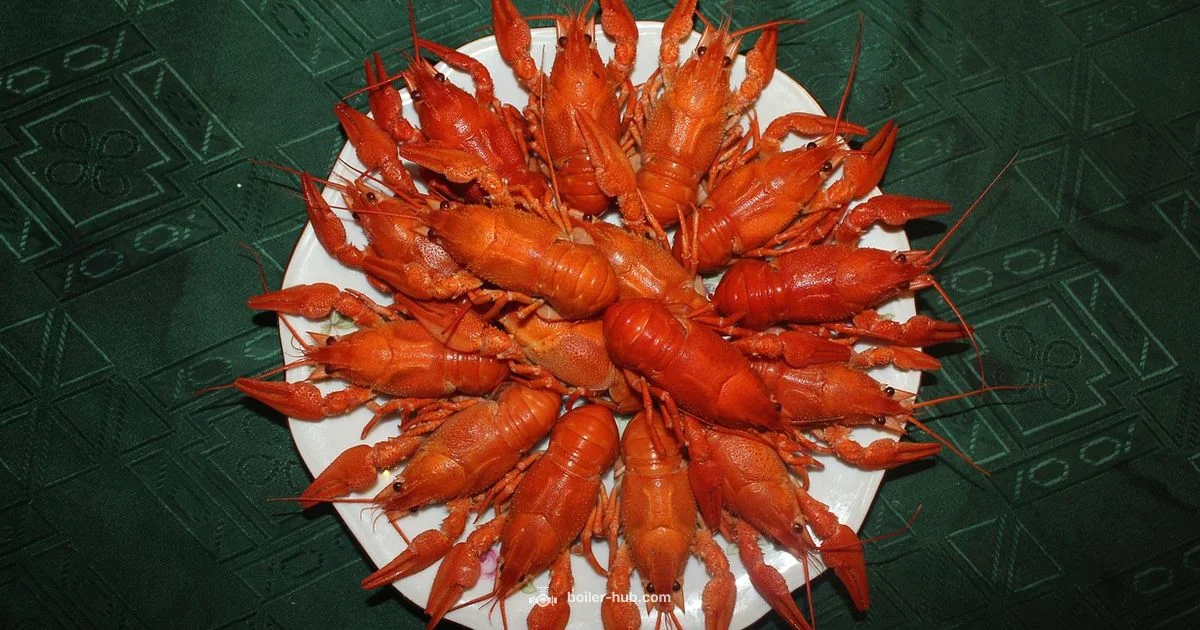 Crawfish Boiler Pot Guide - Boiler Hub