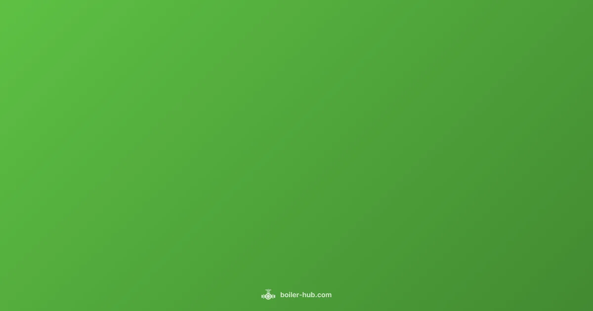 Boiler Leak Guide - Boiler Hub (illustration)