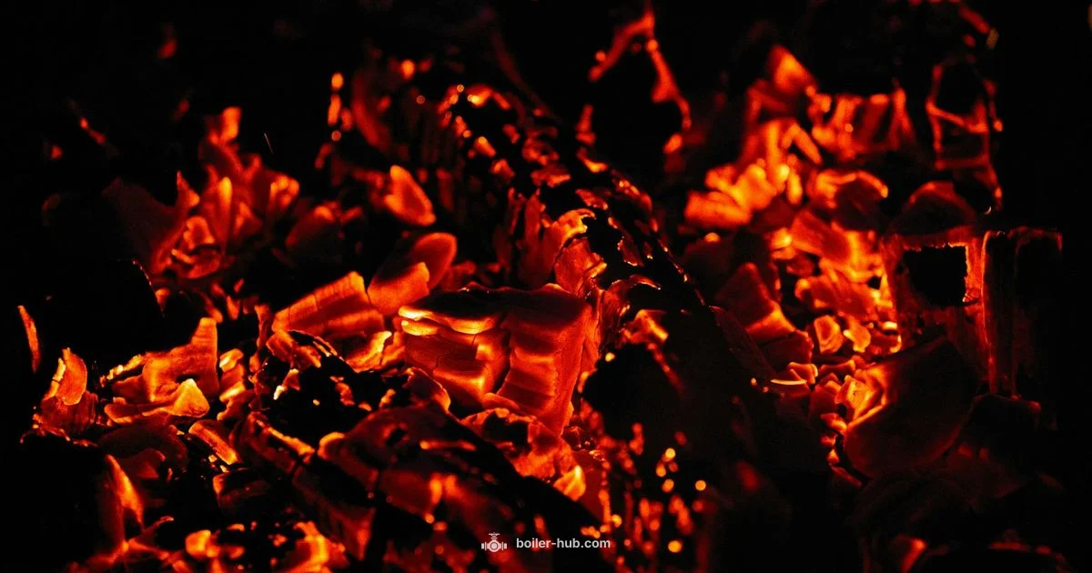 Radiant Boiler Guide - Boiler Hub