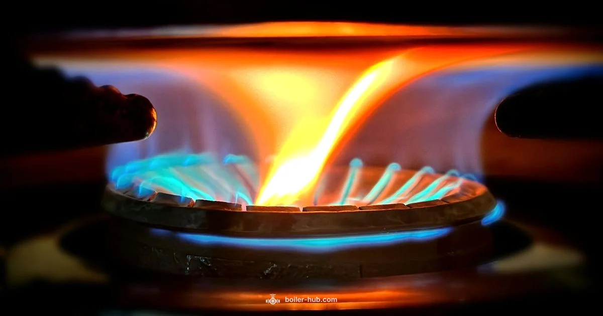 Gas Smell in Boiler - Boiler Hub