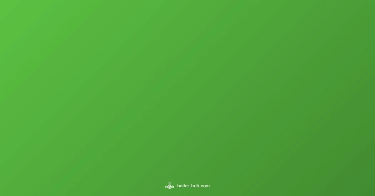 Boiler vs Water Heater - Boiler Hub (illustration)