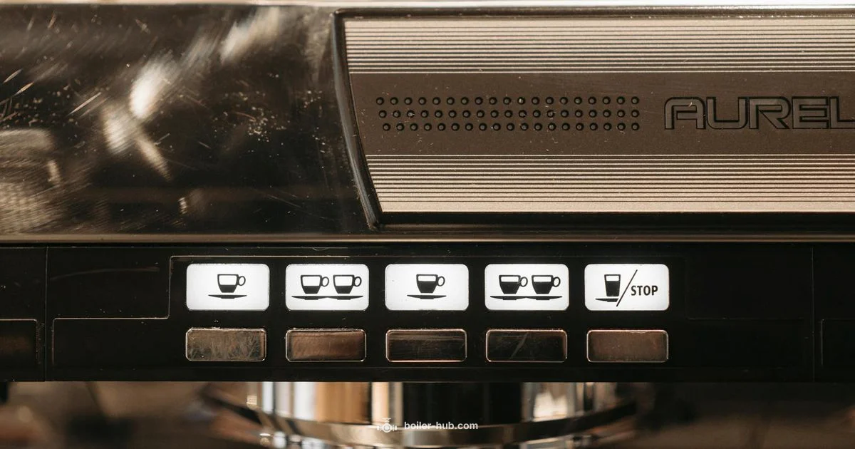 Aquastat Boiler Guide - Boiler Hub