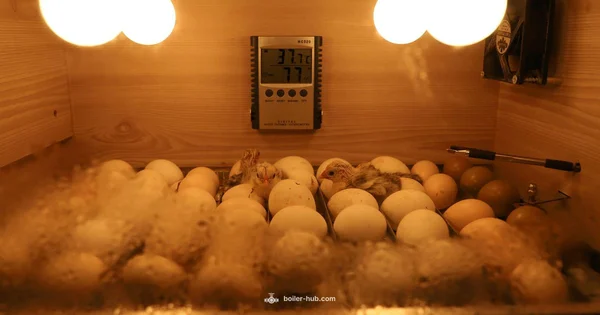 Thermostat Guidance - Boiler Hub