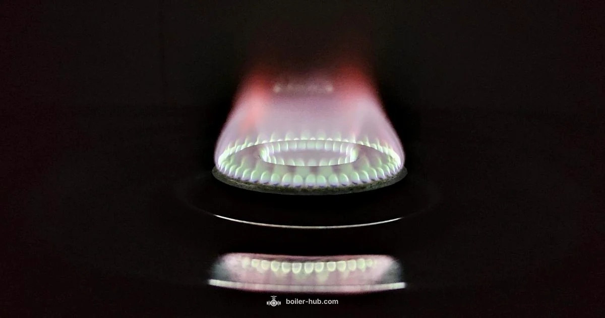 Flame Sensor Cleaning Flame Sensor Cleaning - Boiler Hub