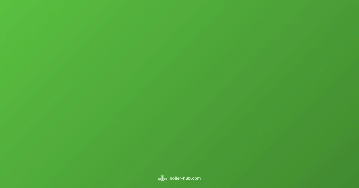 Warranty Boiler Guide Warranty Boiler Guide - Boiler Hub (illustration)