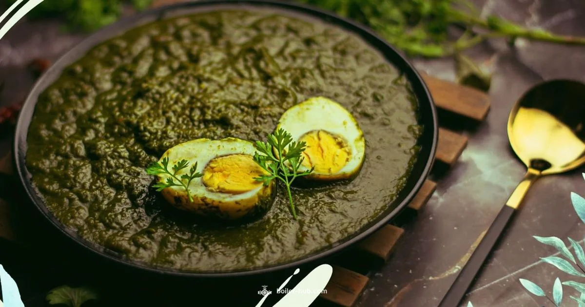 Egg Boiler Health - Boiler Hub